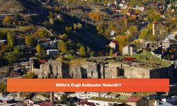 Bitlis'e Özgü Kelimeler Nelerdir?
