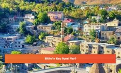 Bitlis'in Kaç İlçesi Var?