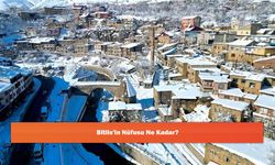 Bitlis'in Nüfusu Ne Kadar?