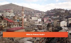 Bitlis'in Plakası Nedir?