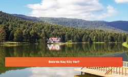 Bolu'da Kaç Köy Var?