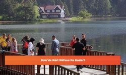 Bolu'da Kürt Nüfusu Ne Kadar?