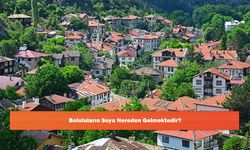 Boluluların Soyu Nereden Gelmektedir?