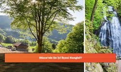 Düzce'nin En İyi İlçesi Hangisi?