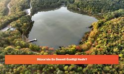 Düzce'nin En Önemli Özelliği Nedir?