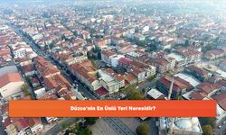 Düzce'nin En Ünlü Yeri Neresidir?