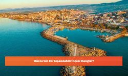 Düzce'nin En Yaşanılabilir İlçesi Hangisi?