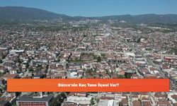 Düzce'nin Kaç Tane İlçesi Var?