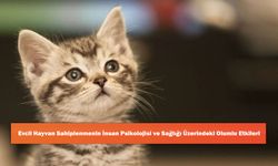 Evcil Hayvan Sahiplenmenin İnsan Psikolojisi ve Sağlığı Üzerindeki Olumlu Etkileri