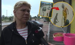 Antalya'da kediyi ezip, köpeği tekmeleyen şahıs gözaltına alındı!