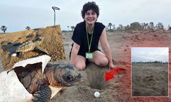 Antalya'da caretta caretta sezonu açıldı: İlk yuva “KY-1” oldu