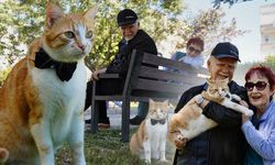 Antalya'da papyonlu kedi ‘Foça’ hayatlarını değiştirdi: “Onsuz bir yaşam düşünemiyoruz”
