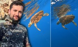 Antalya'da milli sporcu deniz kaplumbağasını ölümden kurtardı!