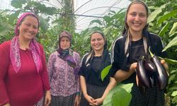 Antalya’da üç kuşak sera mesaisi: Anneanne, anne ve torun aynı toprakta üretiyor