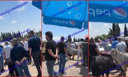 Antalya’da ilginç takas: Keçiyle otomobili değiştirdiler!
