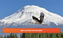 Iğdır'ın En Ünlü Yeri Neresidir?