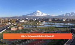 Iğdır'ın En Yaşanılabilir İlçesi Hangisi?