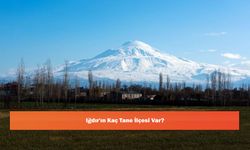 Iğdır'ın Kaç Tane İlçesi Var?