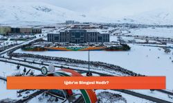 Iğdır'ın Simgesi Nedir?