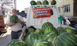 Antalya Kumluca'da özel hasat: Karacaören çekirdek karpuzu tezgahlarda!