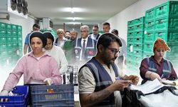 Antalya Hali’nde bayram öncesi sıkı takip: Fahiş fiyat ve etiketler denetlendi