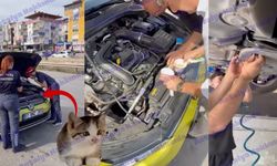 Antalya'da araca sıkışan kedi için büyük seferberlik! Saatler sonra kurtarıldı
