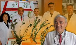 Orta Toroslar'da keşfedildi: Antalya, Konya ve Karaman'dan bilim dünyasına 4 yeni bitki türü