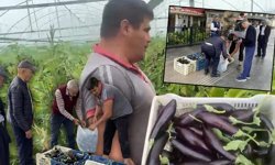 Antalya'da onlarca patlıcan ücretsiz dağıtıldı