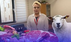 Uzmanından Kurban Bayramı uyarısı: Eti 12-24 saat dinlendirmeden tüketmeyin