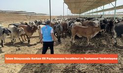 İslam Dünyasında Kurban Eti Paylaşımının İncelikleri ve Toplumsal Yardımlaşma