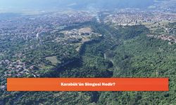 Karabük'ün Simgesi Nedir?