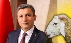 Antalya'da Vali Şahin’den Kurban Bayramı mesajı