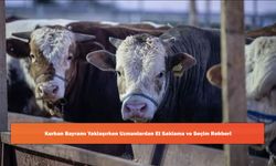 Kurban Bayramı Yaklaşırken Uzmanlardan Et Saklama Ve Seçim Rehberi