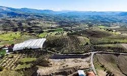 Manavgat Aksaz’da Dev Arsa İcradan Satışta: 73 Bin m² Taşınmaz İhale ile Alıcı Bekliyor
