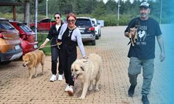Antalya'da can dostlara yuva imkanı