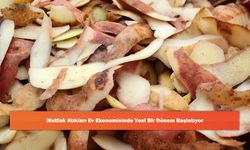 Mutfak Atıkları Ev Ekonomisinde Yeni Bir Dönem Başlatıyor