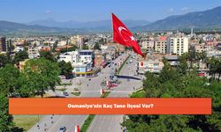 Osmaniye'nin Kaç Tane İlçesi Var?