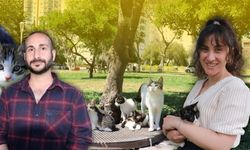 Antalya'da mazgaldan kurtarılan kedilere yuva aranıyor!