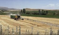 Antalya Manavgat’ta 9.918 m² Tarım Arazisi Mahkemeden İcradan Satışa Çıkarıldı