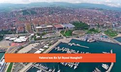 Yalova'nın En İyi İlçesi Hangisi?