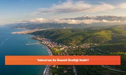 Yalova'nın En Önemli Özelliği Nedir?