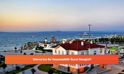 Yalova'nın En Yaşanılabilir İlçesi Hangisi?