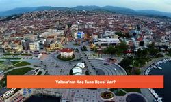 Yalova'nın Kaç Tane İlçesi Var?