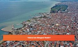 Yalova'nın Simgesi Nedir?