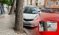 Burdur'da otomobil ağaca çarptı!