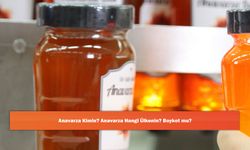 Anavarza Kimin? Anavarza Hangi Ülkenin? Boykot mu?