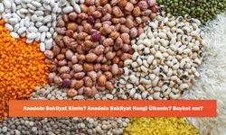Anadolu Bakliyat Kimin? Anadolu Bakliyat Hangi Ülkenin? Boykot mu?