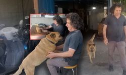 Antalya'da büyük vefa örneği: Gözleri görmeyen köpeğe evladı gibi bakıyor!