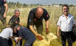 Antalya'da kanalizasyon çukuruna düşen oğlak kurtarıldı!