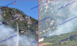 Antalya'da orman yangını: Helikopterle böyle müdahale ettiler!